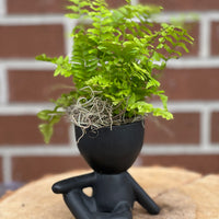 plant dude; people ceramic pot; cute plants in pots; gift for a plant lover