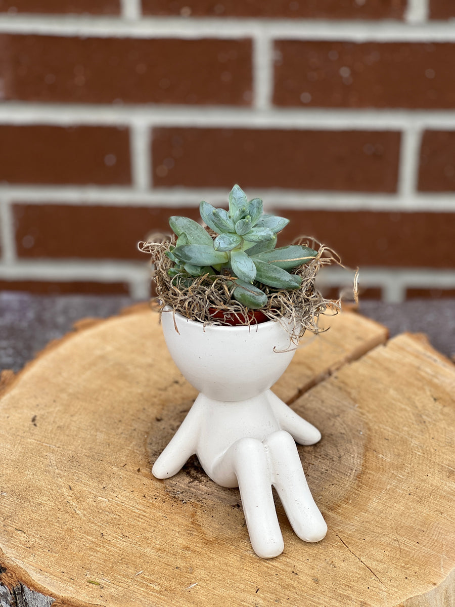 plant dude; people ceramic pot; cute plants in pots; gift for a plant lover