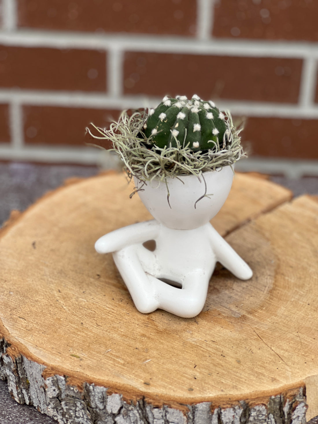 plant dude; people ceramic pot; cute plants in pots; gift for a plant lover