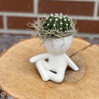 plant dude; people ceramic pot; cute plants in pots; gift for a plant lover