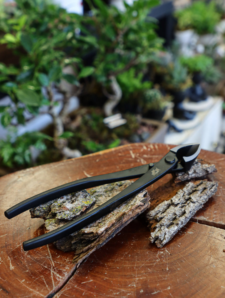 bonsai tools; bonsai concave cutters; tools for bonsai