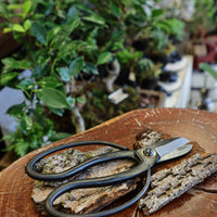 bonsai tools butterfly shears