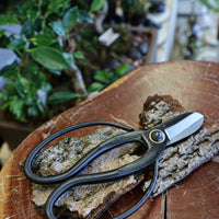 bonsai tools, butterfly shears