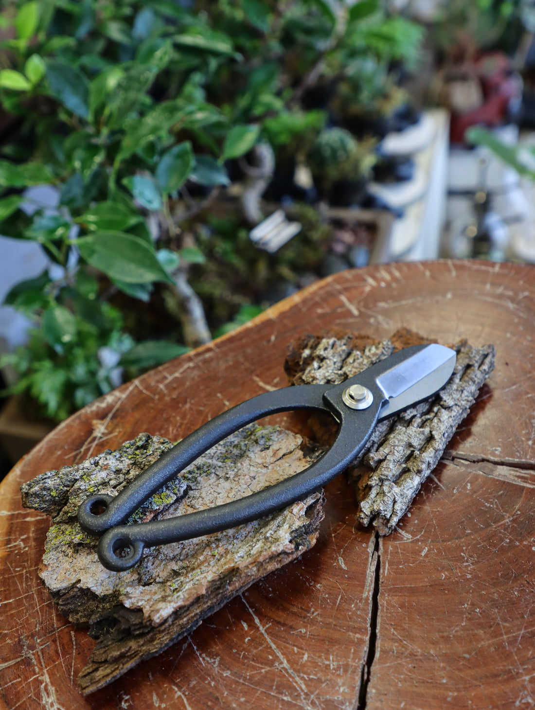 bonsai tools; tools for bonsai; bonsai leaf cutters
