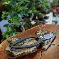 bonsai tools; tools for bonsai; bonsai leaf cutters