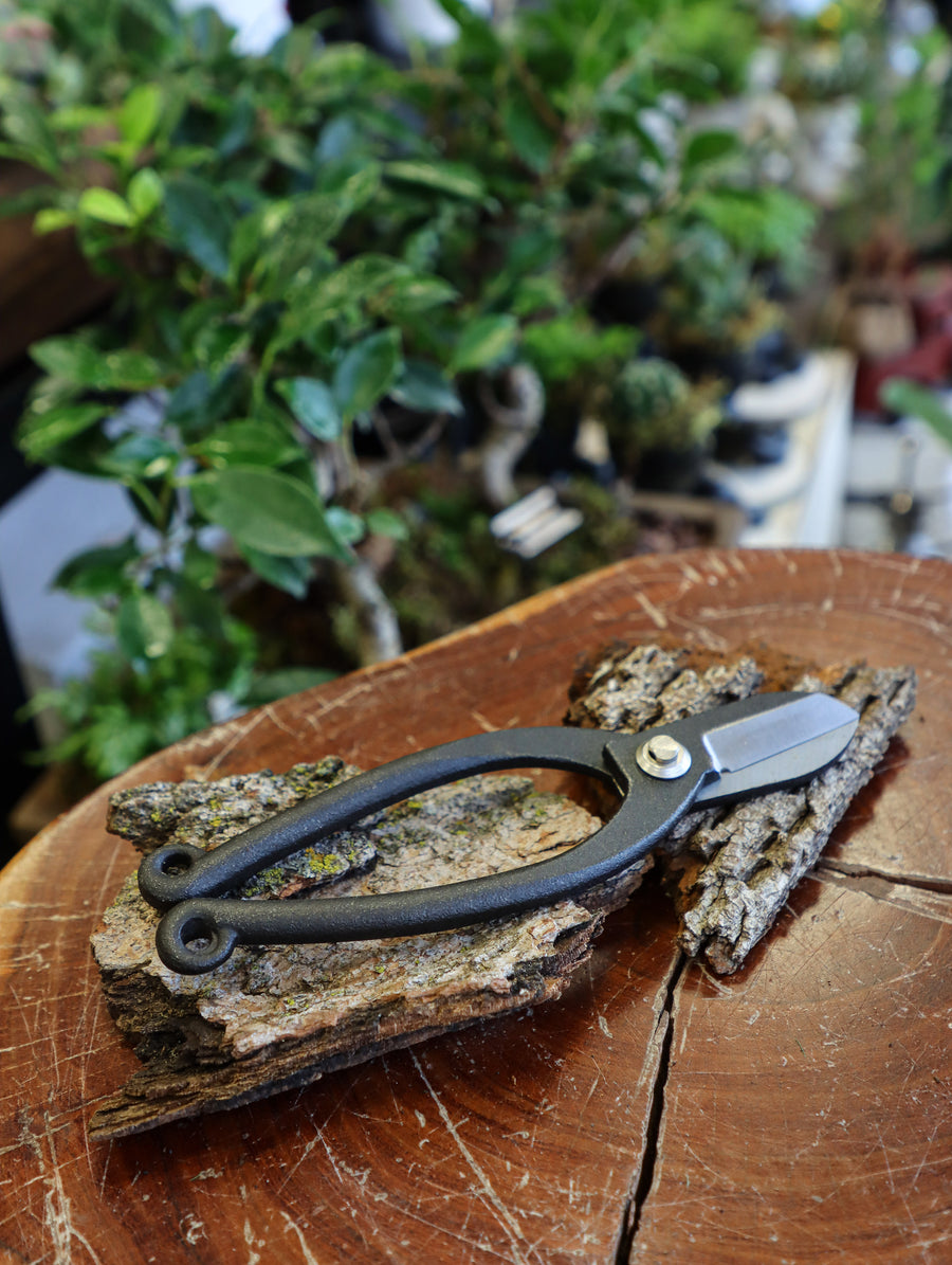 bonsai tools; tools for bonsai; bonsai leaf cutters
