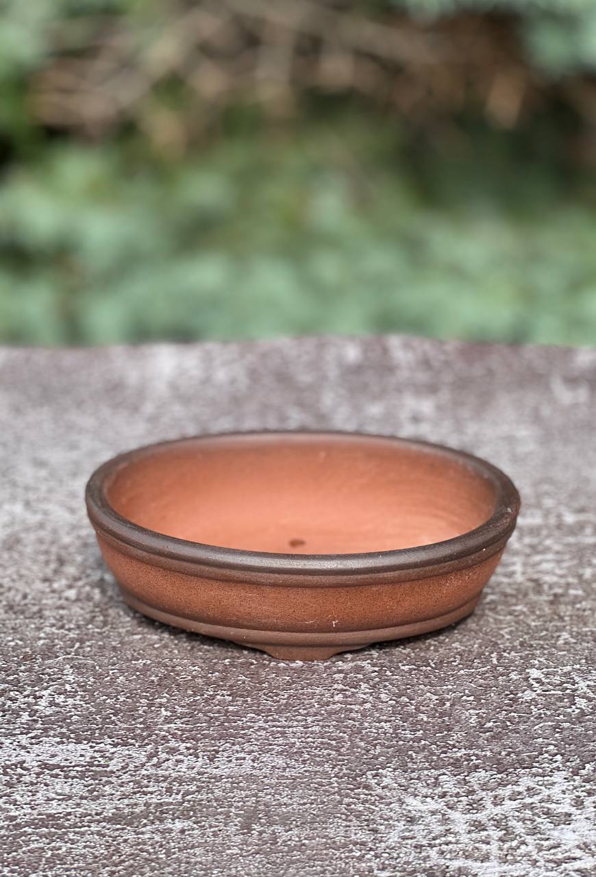 Ceramic Pot Size 6x4.5x2 inches Bonsai Ottawa Shop
